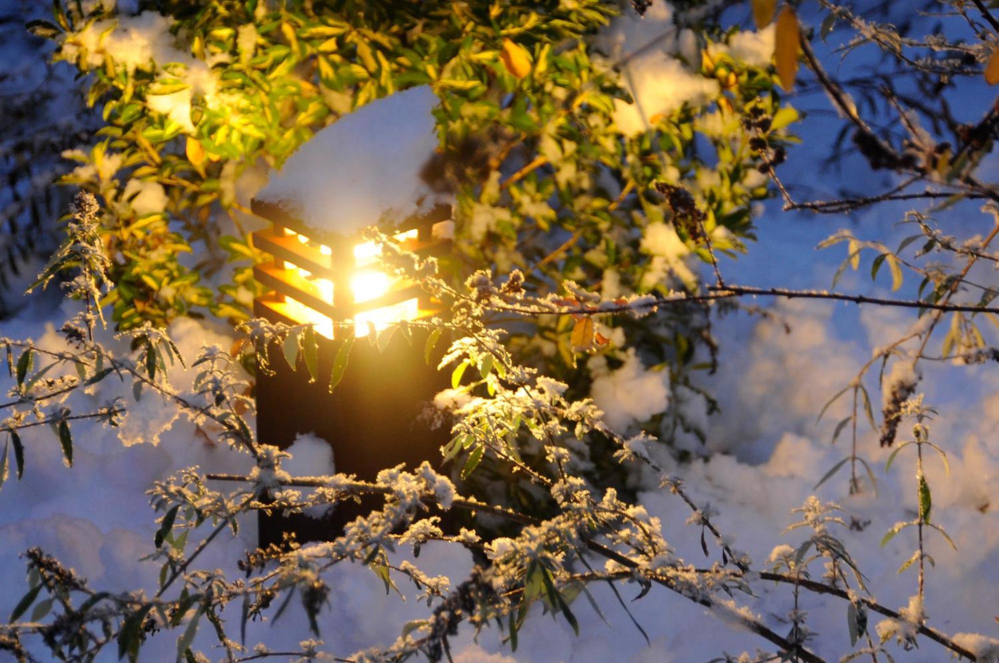 Apparthotel Gartenresidence Nalserhof Kültér fotó